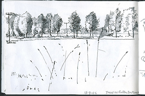Pen and wash drawing of poplar trees